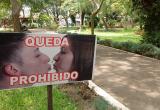 Carteles se encuentran en el recorrido dentro del Jardín Botánico. Foto: Felipe Revueltas