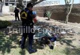 Murió en el completo abandono. Foto: Trujillo en Línea