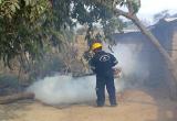 Los pobladores de la provincia de Sánchez Carrión piden la fumigación de sus localidades ante la presencia de una plaga de zancudos. (Foto referencial)