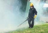 La fumigación inició luego del entrenamiento de los jugadores de la UCV. Foto: Trujillo en Línea