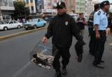 Personal municipal intervino a comerciantes inescrupulosos que maltrataban a los animales para luego venderlos. (Foto: Difusión)