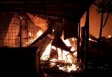 Más de 40 puestos del mercado La Hermelinda quedaron destruidos tras el dantesco incendio registrado anoche.