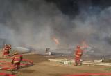 Incendio registrado esta tarde en la curva del Sun en Moche. (Fotos cortesía MPT)