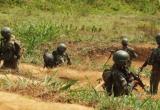 (Foto cortesía Ejército)