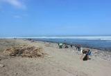 Limpiaron a lo largo de la playa de Huanchaco. Foto: Trujillo en Línea