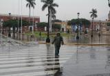 (Foto referencial)