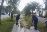 Segat realizó el mantenimiento de áreas verdes en parques y avenidas de Trujillo. (Foto: Facebook Segat)