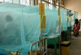 Dos casos más de dengue en La Hermelinda, se confirmaron hasta el momento 60 casos. (Foto referencial)