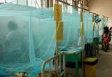 El dengue, el cólera y hasta la malaria serían enfermedades que rebrotarían con la llegada de "El Niño". (Foto Internet)