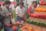 Más de 30 millones en exportación de pimentones y ajíes. Foto: Trujillo en Línea