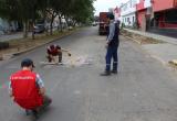 Foto: cortesía