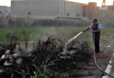 Trabajadores municipales intervinieron oportunamente y evitaron que se produzcan mayores pérdidas. (Foto: Difusión)