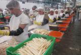 La producción y exportación es una de las actividades económicas más importantes de La Libertad.