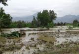 Crecida de ríos afectó carreteras y sembríos. Foto: Trujillo en Línea