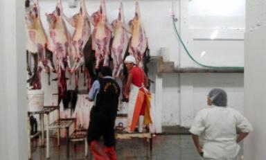 Animales eran sacrificados en pésimas condiciones de salubridad. Foto: Trujillo en Línea