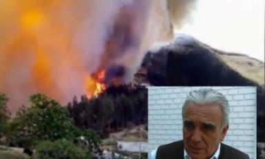 Bosques se consumen y animales mueren. Foto: Trujillo en Línea