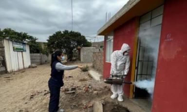 Foto: cortesía