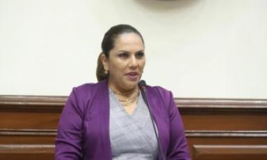 Foto: cortesía Congreso de la República