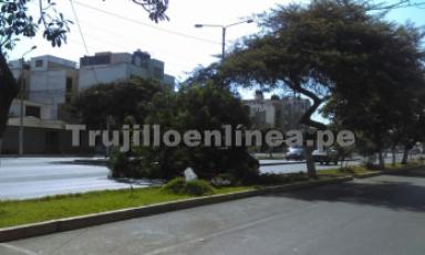 Tráfico se paralizó por varias horas. Foto: Trujillo en Línea