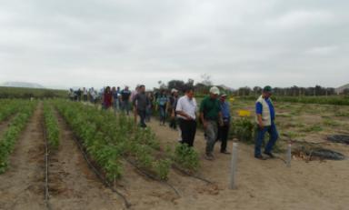 Visita de autoridades de la región San Martín al proyecto Chavimochic.