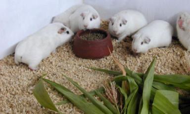 Foto: cortesía