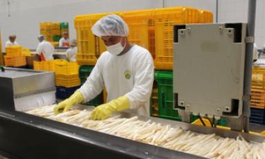 Foto: cortesía ADEX