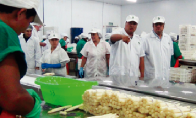 El gerente regional de Trabajo verificó las instalaciones de la empresa trujillana TalSA.