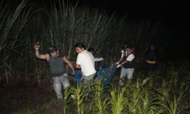 (Foto referencial)