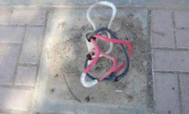 Fotos Trujillo en Línea