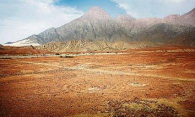 Este es el geoglifo de más de 10 mil años de antigüedad, ubicado en Quebrada Santo Domingo. (Foto El Comercio)
