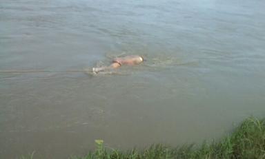 Cadáver fue hallado tres días después. Foto: Trujillo en Línea
