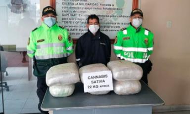 PNP