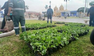 Foto: cortesía