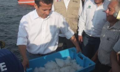 Presidente Ollanta Humala llegó Puerto Morín, para escuchar la problemática de los pescadores. Fuente: Trujillo en Línea.