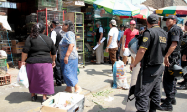 Operativo en el mercado Palermo, en el que se encontraron más de medio centenar de animales. (Foto MPT)