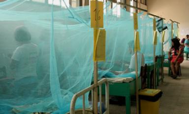 Dos casos más de dengue en La Hermelinda, se confirmaron hasta el momento 60 casos. (Foto referencial)