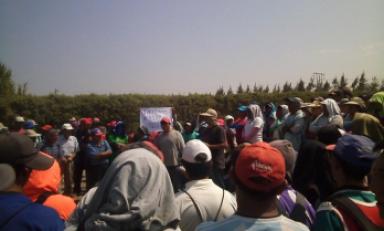 Trabajadores de la Empresa Agrícola Virú llevan su segundo día de paralización.
