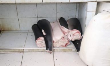 (Foto Trujillo en Línea)