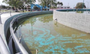 Completamente sucias se encuentran las piletas del distrito de Florencia de Mora. (Foto Trujilloenlinea.pe)