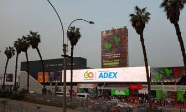 Foto: cortesía