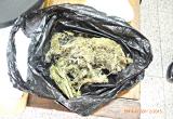 Detenidos llevaban 150 gramos de droga presuntamente para comercializarla, según indicaron los serenos. (Foto: Difusión)