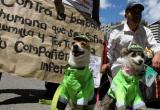 (Foto: referencial Internet)