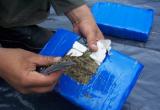 Mujer fue detenida en Pataz, con los paquetes de marihuana. (Foto: Referencial)