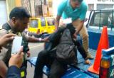 Sujeto acusado de intento de violación a una niña de 7 años. (Foto Serenazgo MPT)