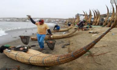 Los pescadores artesanales de Huanchaco temen que con la construcción de un molón desaparezca la totora. (Foto Internet)
