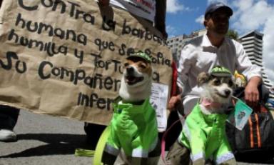 (Foto: referencial Internet)