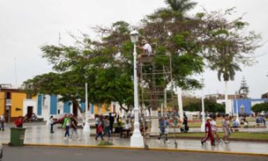 Foto: cortesía